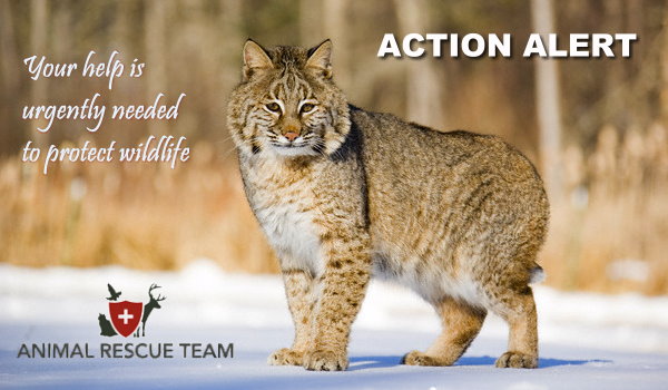 ART action alert header ART action alert header
